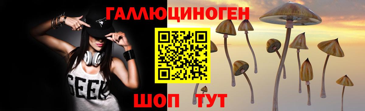 Псилоцибиновые грибы прущие грибы Курчатов